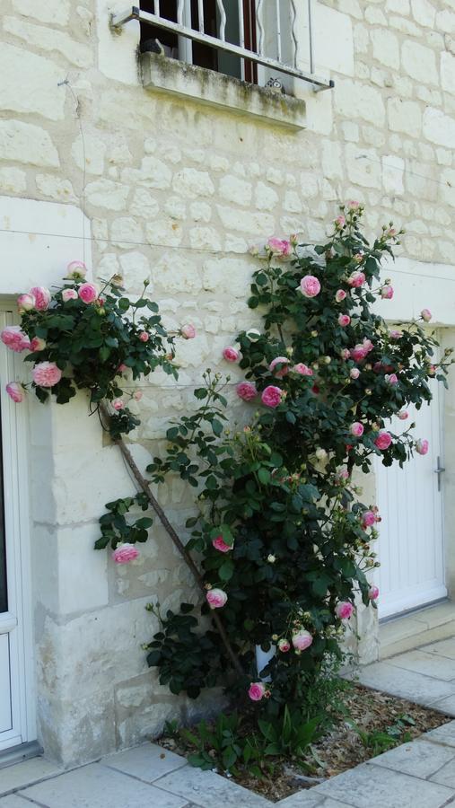 Bed and Breakfast Moulin de reigner Anché Exterior foto